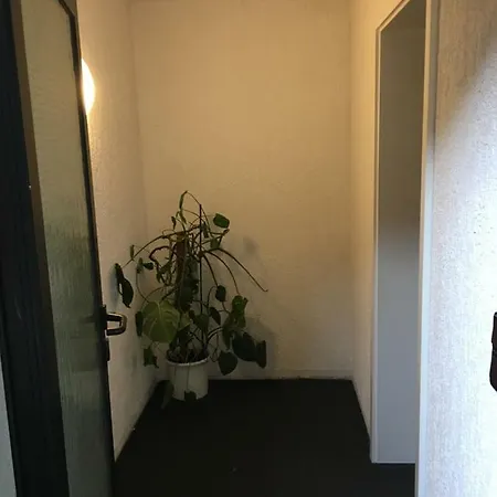 Ferienwohnung-Birlenbach Exterior foto
